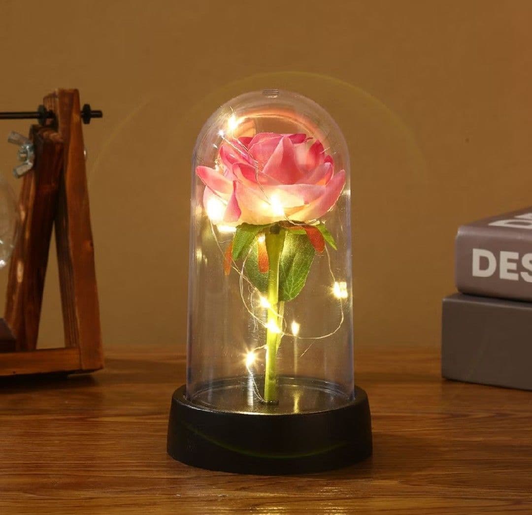 Rosa encantada na cúpula com luzes de fada- presente romântico